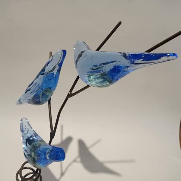 Üçlü Gezen Özgür Kuşlar - Görsel 5