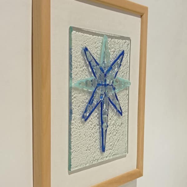 Şeffaf Kuzey Yıldızı - Görsel 3