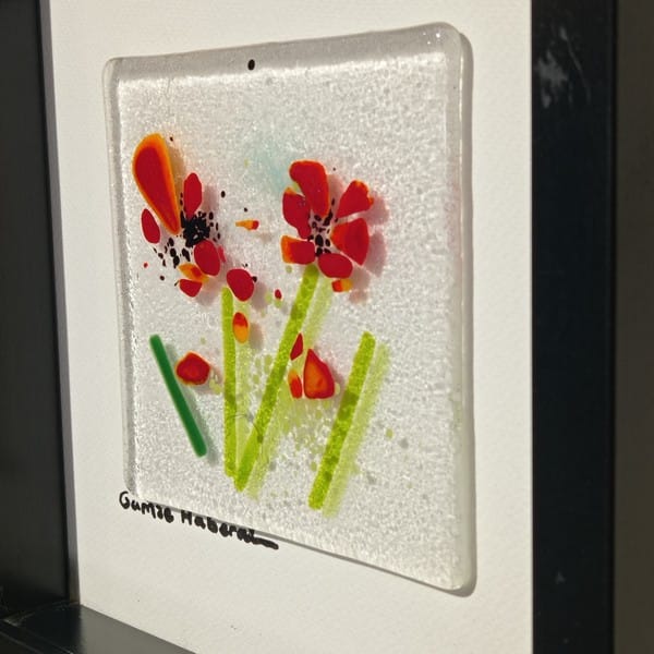 Cam Gelincik Tarlasından - Görsel 4