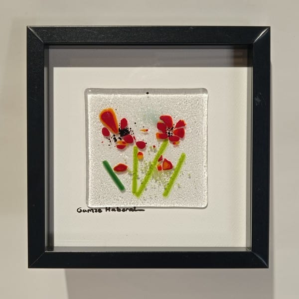 Cam Gelincik Tarlasından - Görsel 2