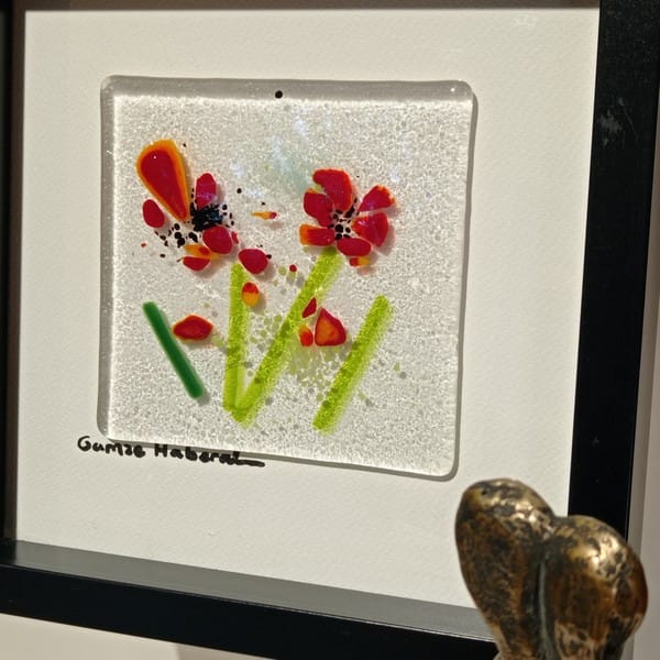 Cam Gelincik Tarlasından - Görsel 3