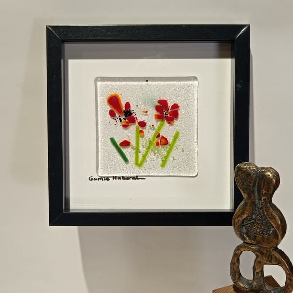 Cam Gelincik Tarlasından - Görsel 6