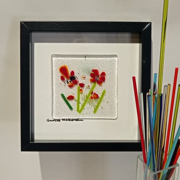 Cam Gelincik Tarlasından