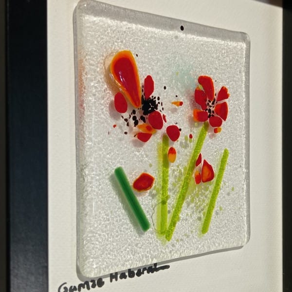 Cam Gelincik Tarlasından - Görsel 5